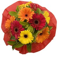 Florist Unley - Gerbera Bouquet